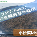 Raguri-Rakuten-Review2