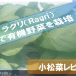 Raguri-Rakuten-Review3