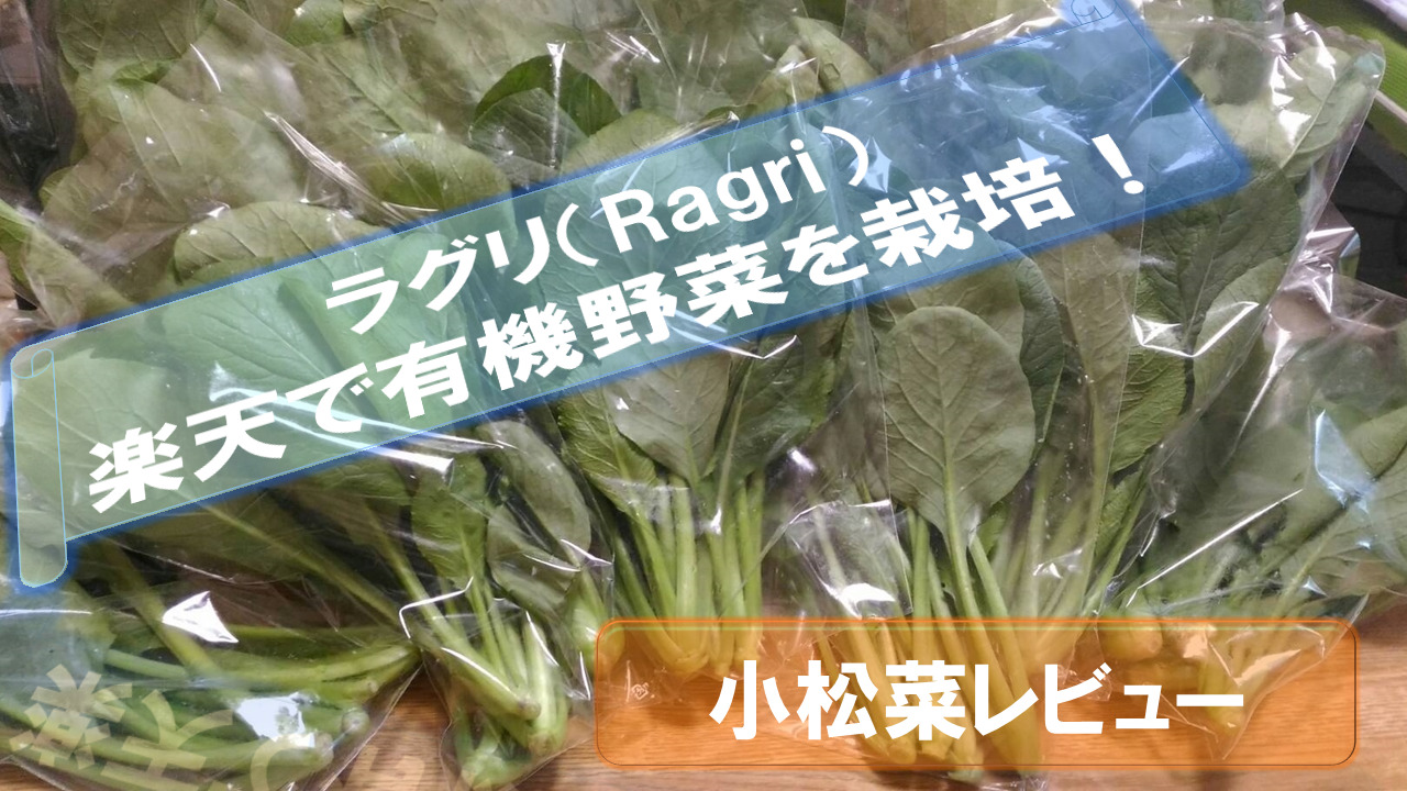 Raguri-Rakuten-Review4