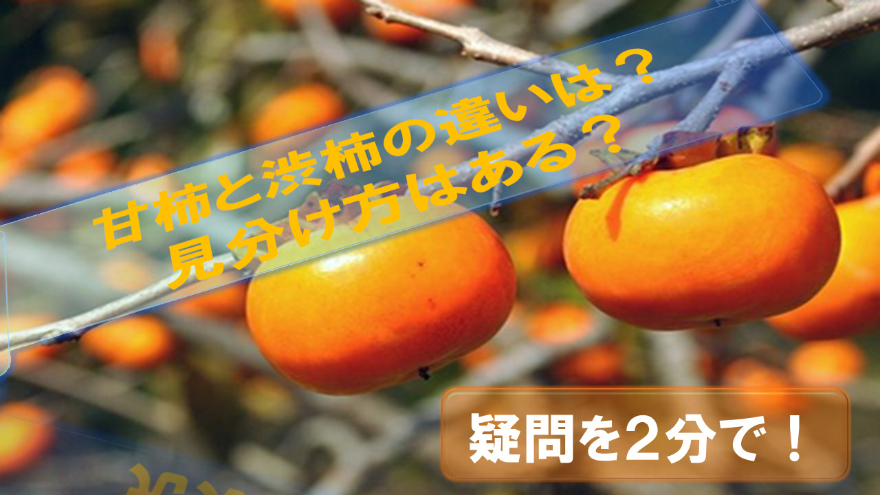 difference-sweet persimmon-astringent persimmon