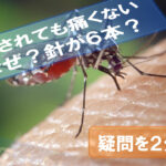 mosquito-needles-why