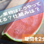 seedless-fruits-why