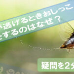 Cicadas-pee-run away
