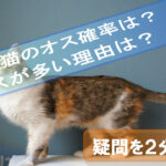 calico cat-probability-male-Why
